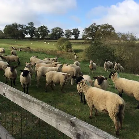 Le Petit Donjon At Chateau Mareuil Appartement Brigueuil-le-Chantre