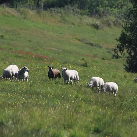 Appartement Le Petit Donjon At Chateau Mareuil Brigueuil-le-Chantre