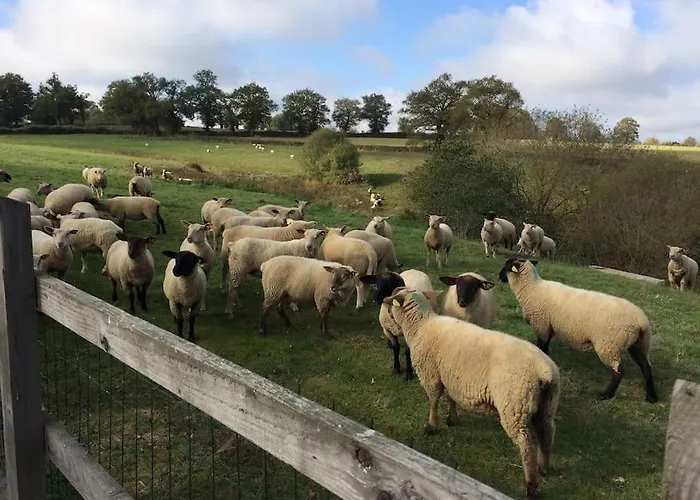 Le Petit Donjon At Chateau Mareuil Апартаменты Brigueil-le-Chantre