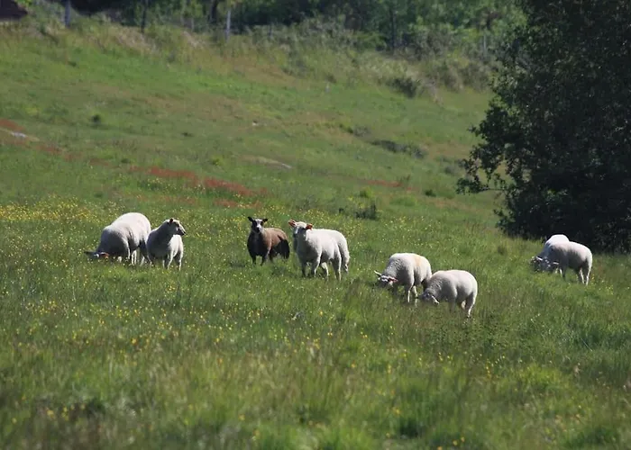 Апартаменты Le Petit Donjon At Chateau Mareuil Brigueil-le-Chantre